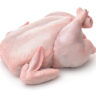 Fresh raw chicken