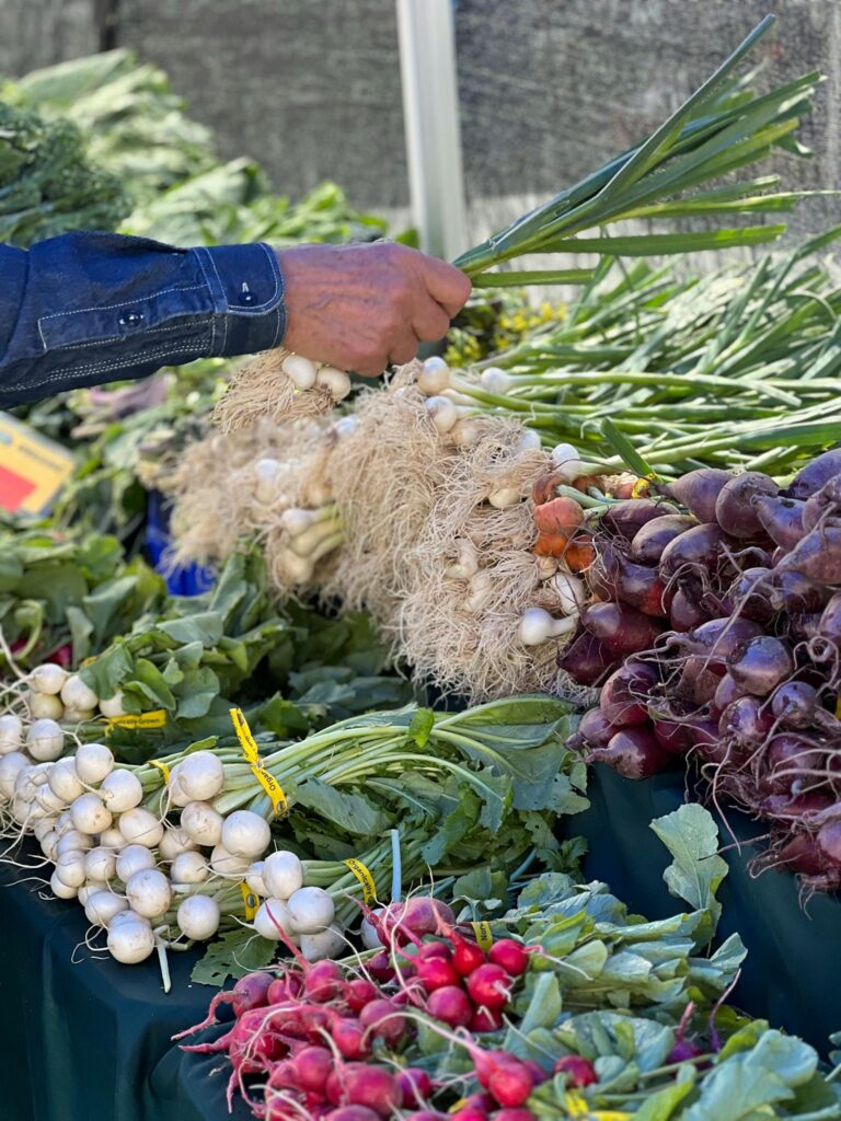 A man selects fresh turnips and radishes at an outdoor farmers market, showcasing organic produce.
