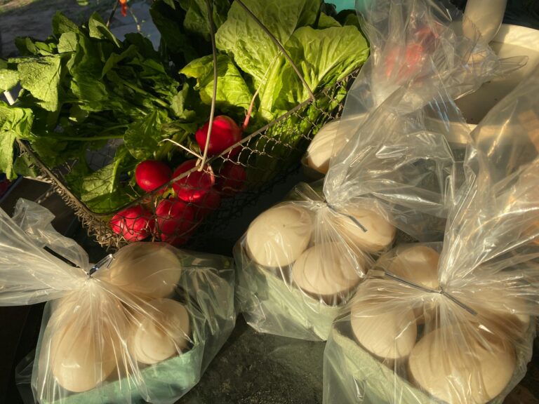 A vibrant arrangement of duck eggs and fresh radishes captured in natural light, showcasing a farm market scene.