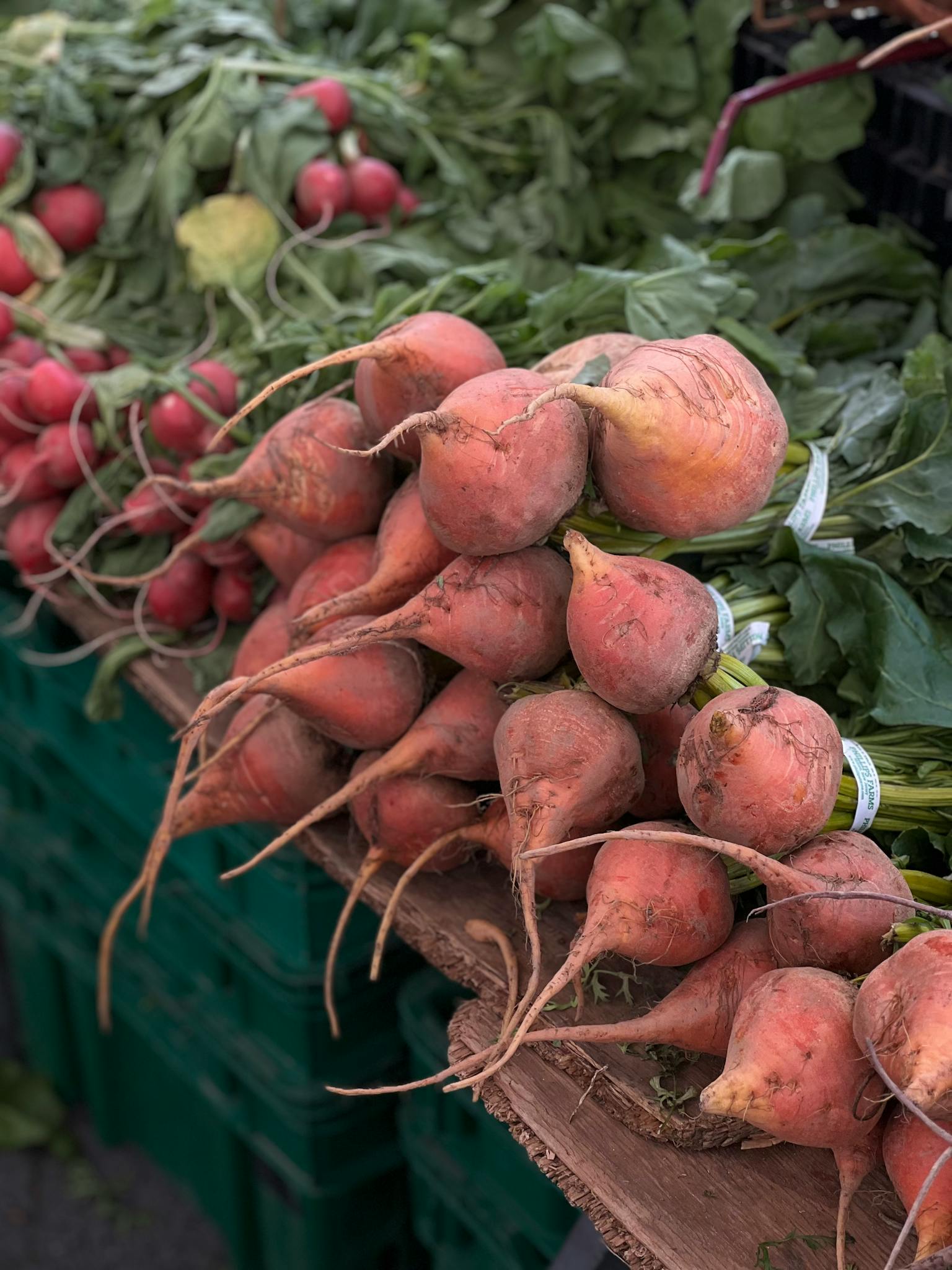 A vibrant display of fresh golden beets and radishes at a local market stall.