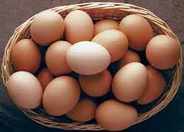 Eggs
