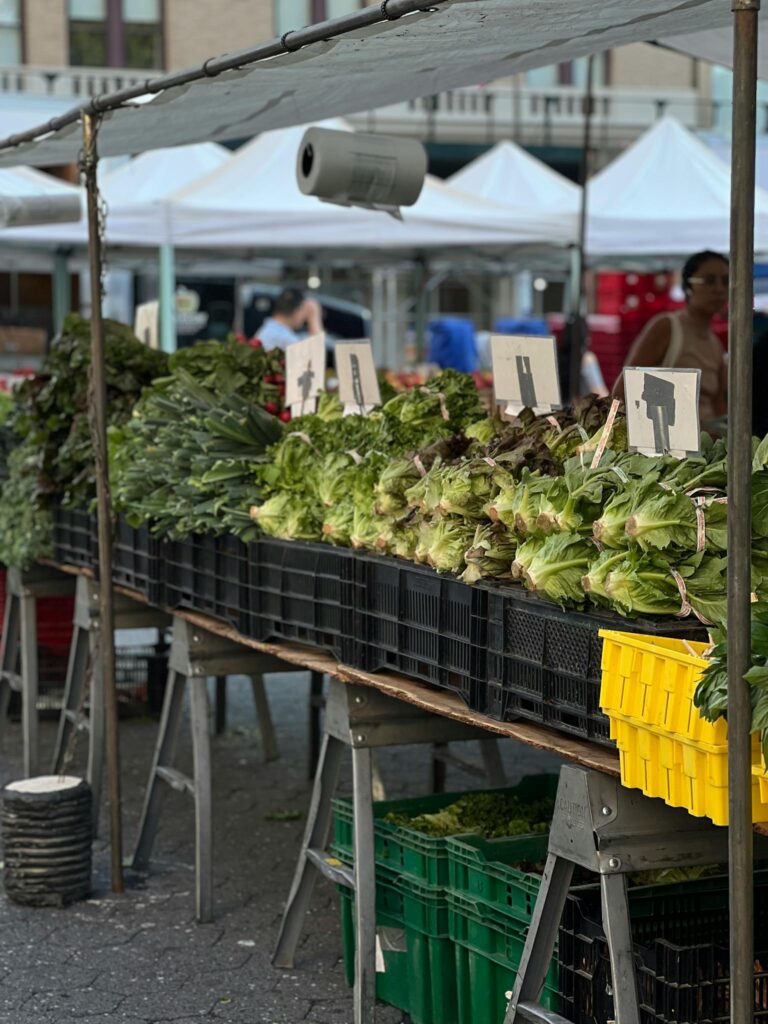 Fresh green vegetables neatly displayed at a bustling farmers market, showcasing local produce.